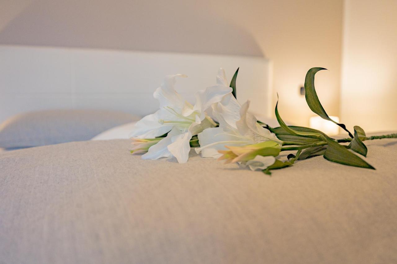 Milan Forum Camelia Guesthouse Assago Extérieur photo